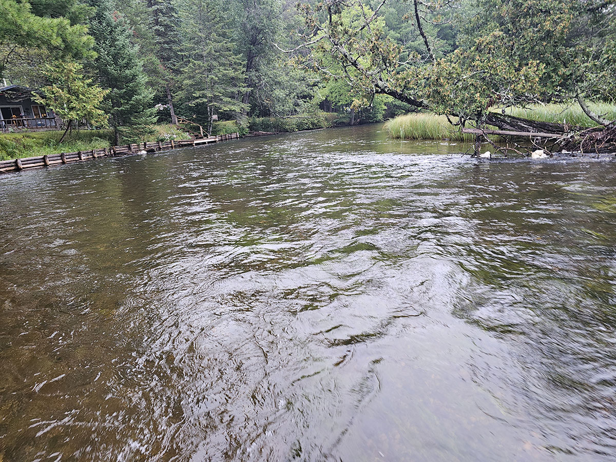 Upper Au Sable riffle with persistent broken current and several current lanes