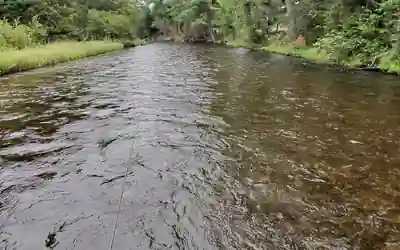 Upper Au Sable run with a long lane of comparatively consistent current