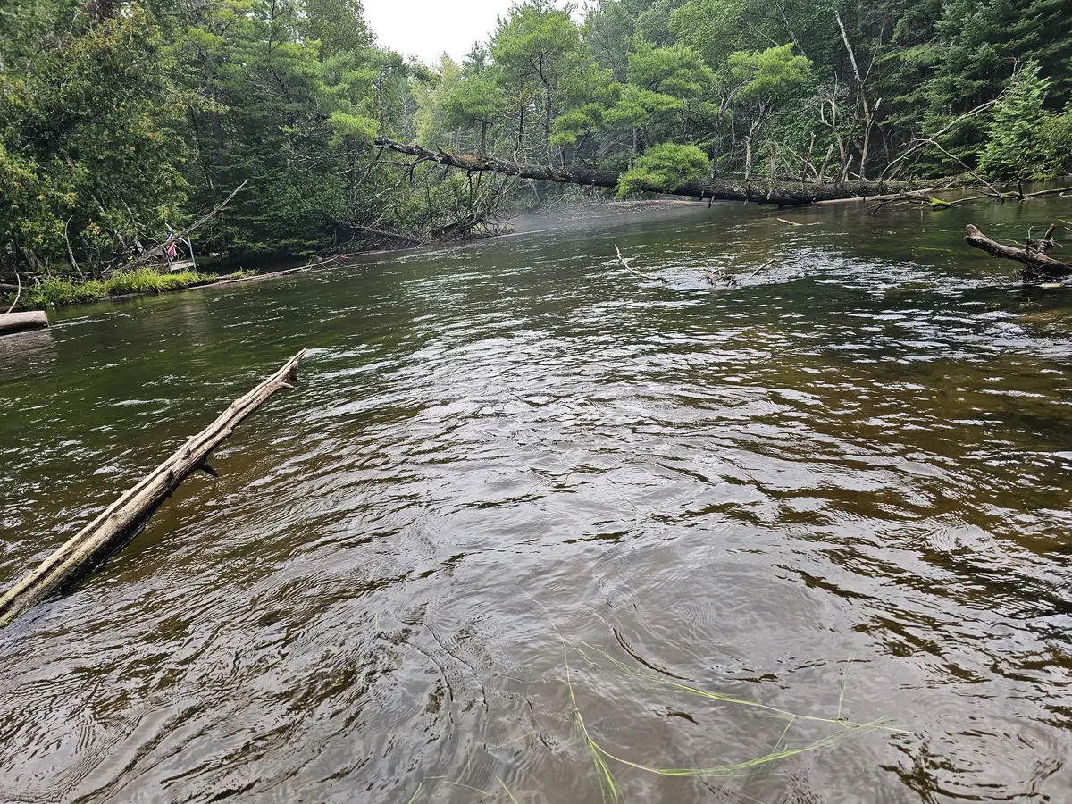 Upper Au Sable woody structure dividing stronger current into smaller quieter pockets and edges