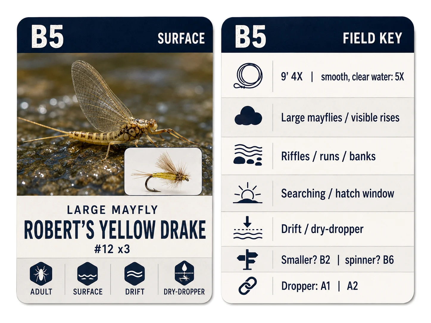 Fly card front and back reference