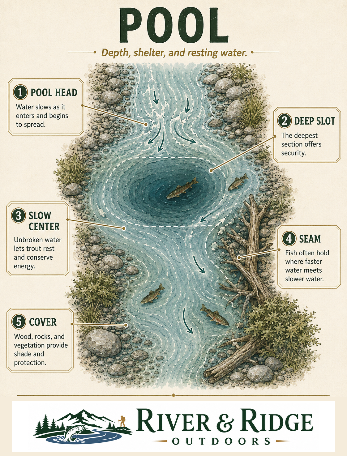 River and Ridge pool illustration showing the pool head, deeper body, edges, and transition toward the exit