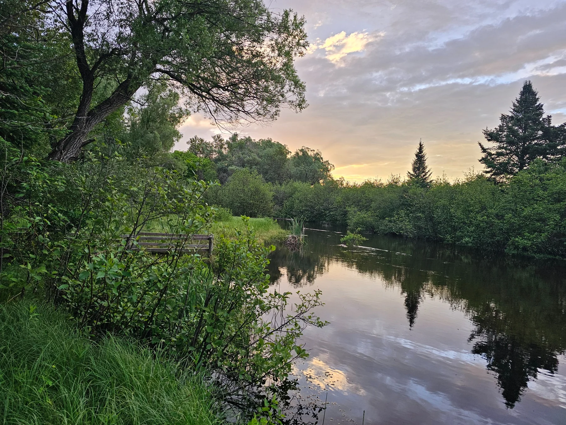 Upper Au Sable River at evening