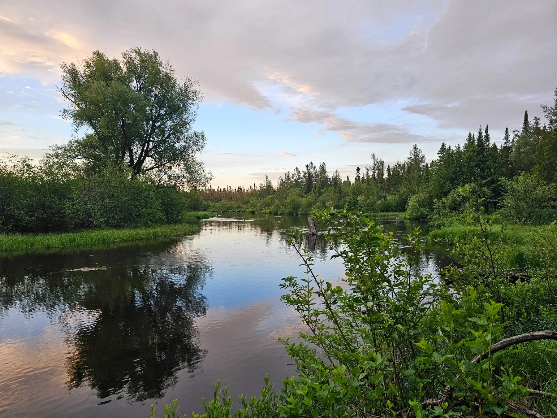 Wide Upper Au Sable stretch showing changes in current, bends, wooded banks, and different water types